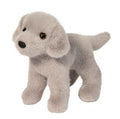 Slate Silver Lab