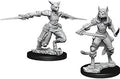 D&D Minis: W9 Female Tabaxi Rogue