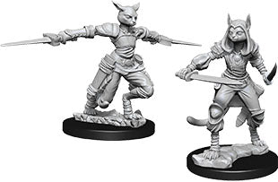 D&D Minis: W9 Female Tabaxi Rogue