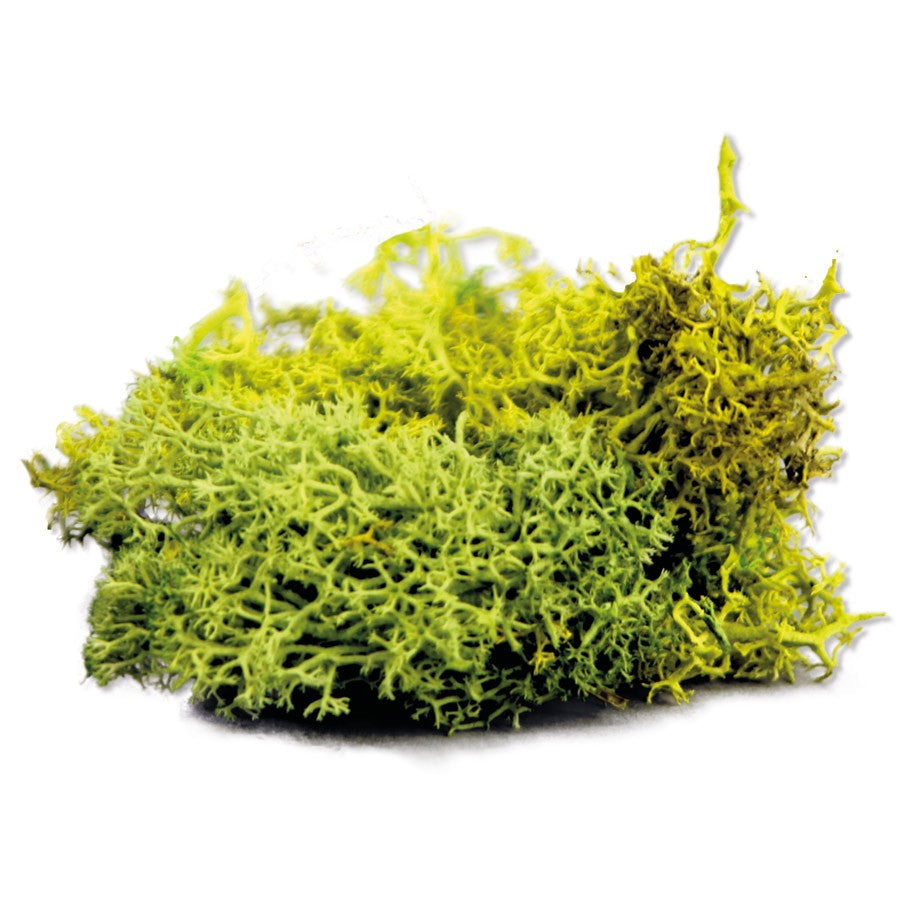 Army Painter: Summer Undergrowth