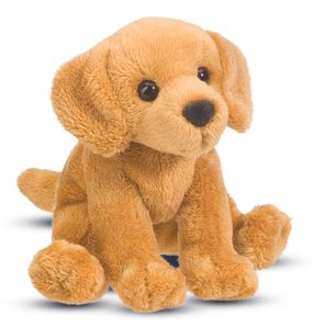 Gracie Golden Retriever