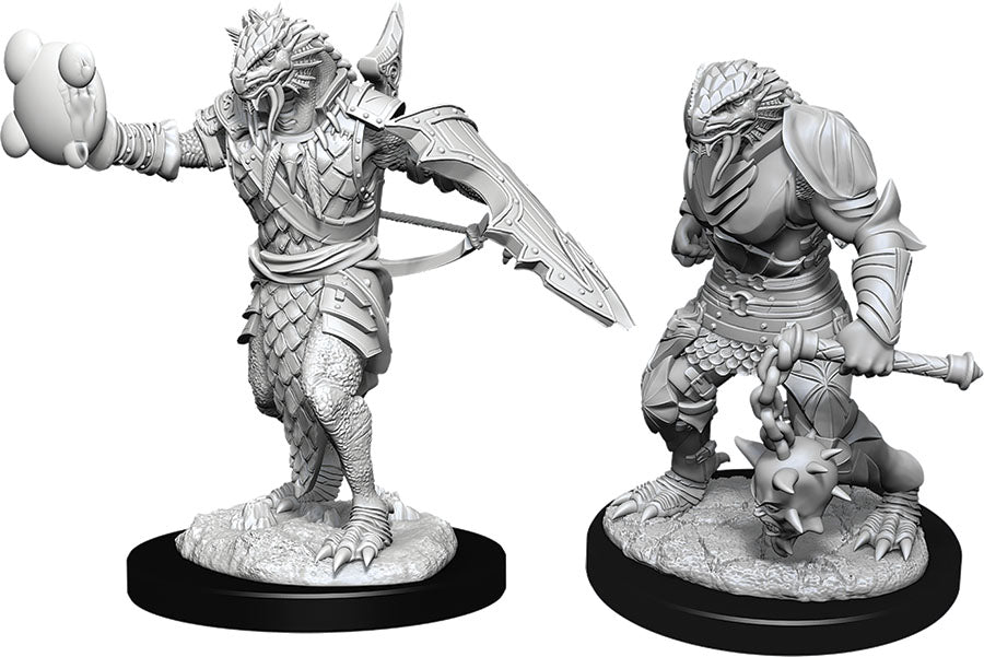 D&D Minis: W11 Male Dragonborn Paladin