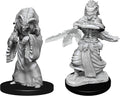 D&D Minis: W14 Night Hag & Dusk Hag