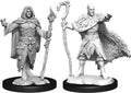D&D Minis: W14 Human Druid Male