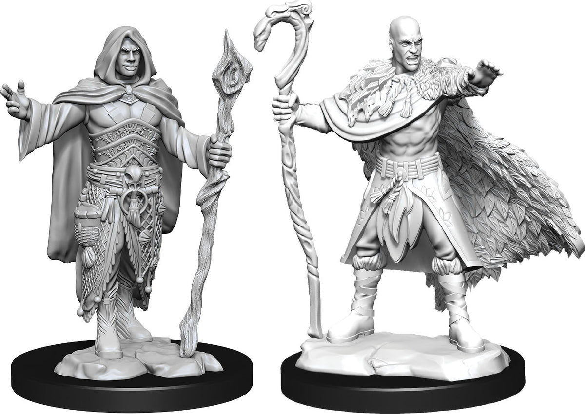 D&D Minis: W14 Human Druid Male